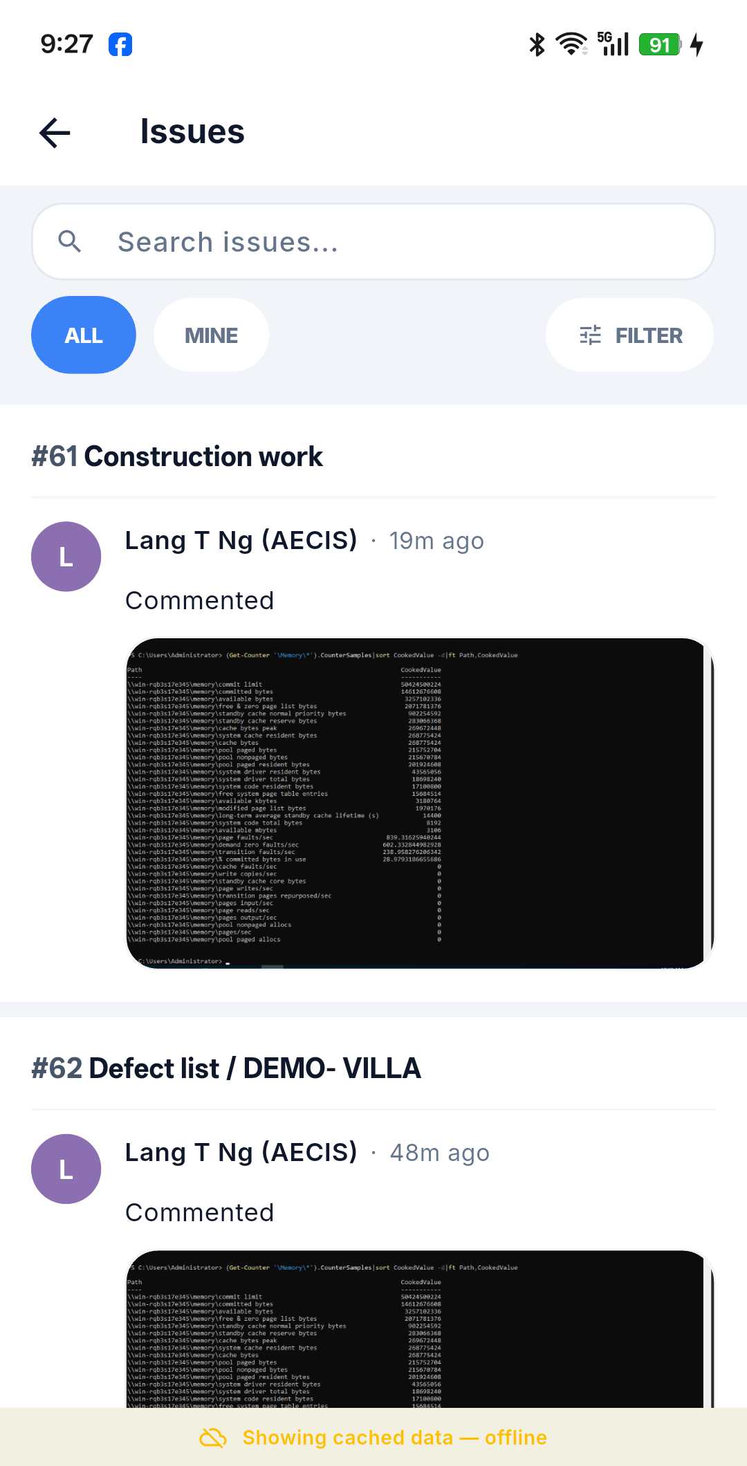 Issue list showing cached data while offline